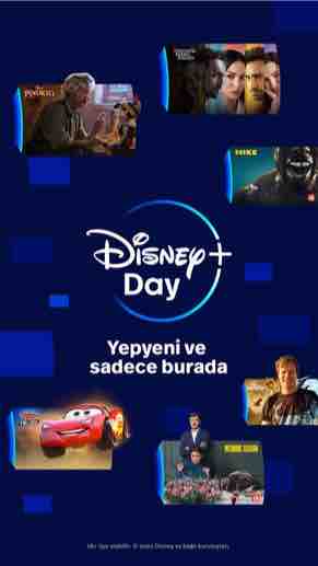 Disney_Day_Dikey.jpg